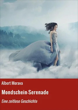 Albert Morava Mondschein-Serenade обложка книги
