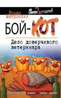 Роман Матроскин Бой-КОТ. Дело доверчивого ветеринара обложка книги