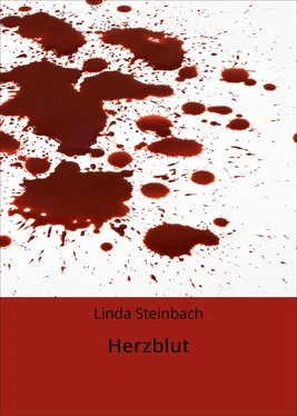 Linda Steinbach Herzblut обложка книги