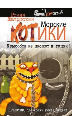 Роман Матроскин Морские КОТики. Крысобои не писают в тапки! обложка книги
