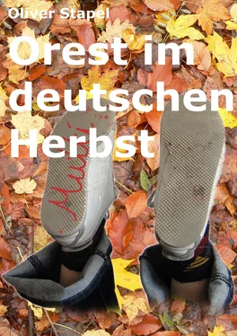 Oliver Stapel Orest im deutschen Herbst обложка книги