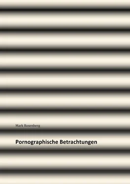 Mark Rosenberg Pornographische Betrachtungen обложка книги