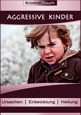 Kristine Tauch Aggressive Kinder обложка книги