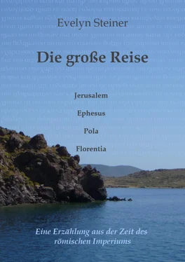 Evelyn Steiner Gratis Leseprobe - Die große Reise обложка книги