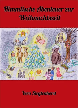 Vera Slegtenhorst Himmlische Abenteuer zur Weihnachtszeit обложка книги