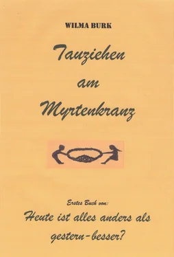 Wilma Burk Tauziehen am Myrtenkranz обложка книги