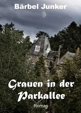 Bärbel Junker Grauen in der Parkallee обложка книги