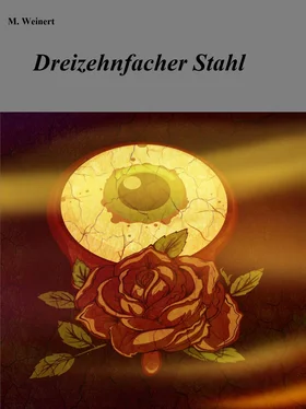 M. Weinert Dreizehnfacher Stahl обложка книги