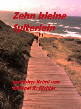 Michael R. Richter Zehn kleine Sylterlein обложка книги
