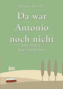 Kristin Fieseler Da war Antonio noch nicht und andere Kurzgeschichten обложка книги