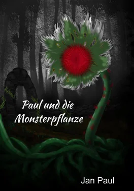 Jan Paul Paul und die Monsterpflanze обложка книги