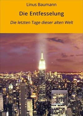 Linus Baumann Die Entfesselung обложка книги
