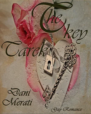 Dani Merati The key - Tarek обложка книги