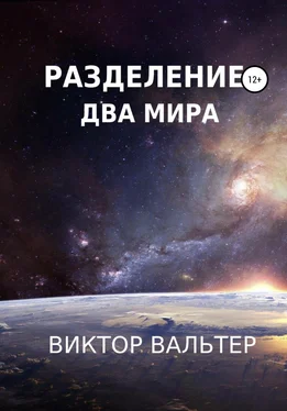 Виктор Вальтер Разделение. Два мира обложка книги