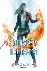 Сара Маас - Империя на бури