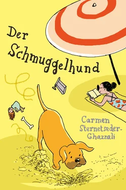 Carmen Sternetseder-Ghazzali Der Schmuggelhund обложка книги