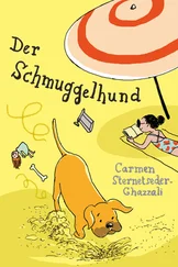 Carmen Sternetseder-Ghazzali - Der Schmuggelhund