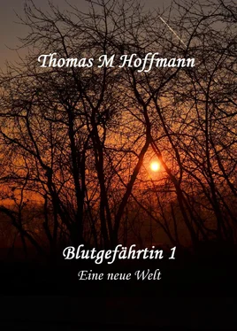 Thomas M Hoffmann Blutgefährtin 1 обложка книги