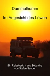 Stefan Sander - Dummelhumm - Im Angesicht des Löwen