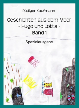 Rüdiger Kaufmann Geschichten aus dem Meer -Hugo und Lotta- обложка книги
