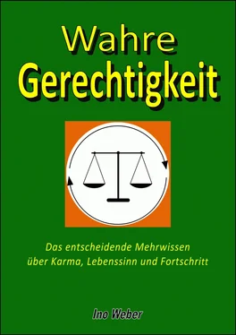 Ino Weber Wahre Gerechtigkeit обложка книги