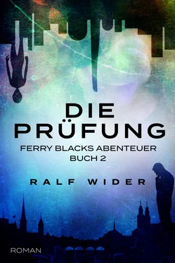 Ralf Wider Die Prüfung обложка книги