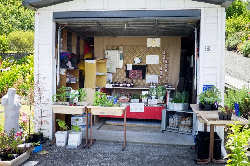 Die womöglich schönste Honesty Box Neuseelands Zeig mir diesen Ort auf - фото 7