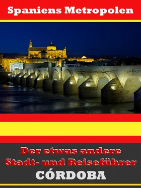 A.D. Astinus Córdoba - Der etwas andere Stadt- und Reiseführer - Mit Reise - Wörterbuch Deutsch-Spanisch обложка книги