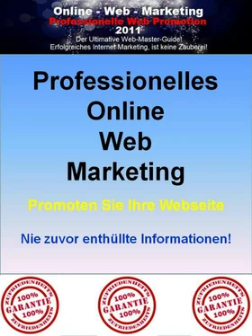 Katrin Schulz Online Web Marketing обложка книги