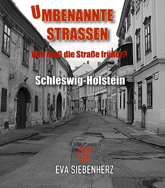 Eva Siebenherz Umbenannte Straßen in Schleswig-Holstein обложка книги