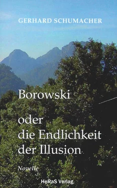 Gerhard Schumacher Borowski oder die Endlichkeit der Illusion обложка книги