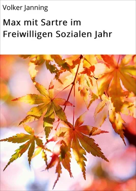 Volker Janning Max mit Sartre im Freiwilligen Sozialen Jahr обложка книги