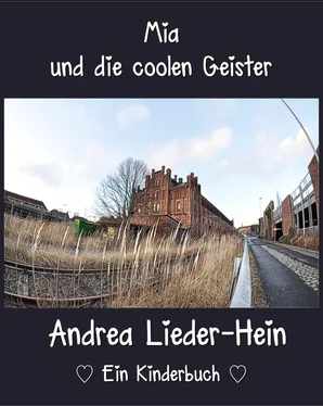 Andrea Lieder-Hein Mia und die coolen Geister обложка книги