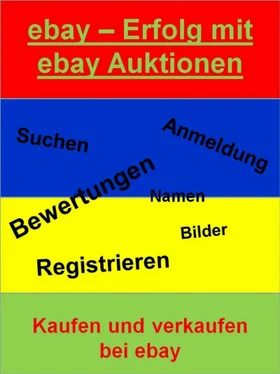 Dr. Meinhard Mang ebay - Erfolg mit ebay Auktionen обложка книги