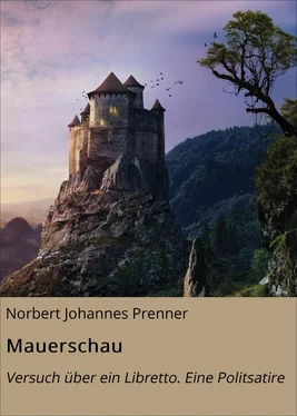 Norbert Johannes Prenner Mauerschau обложка книги