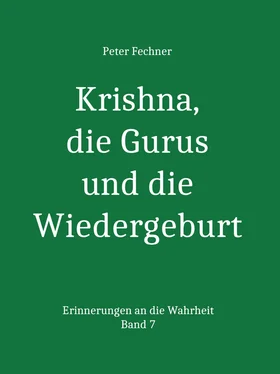 Peter Fechner Krishna, die Gurus und die Wiedergeburt обложка книги