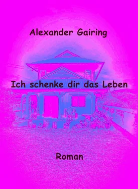 Alexander Gairing Ich schenke dir das Leben обложка книги
