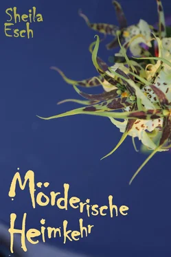 Sheila Esch Mörderische Heimkehr обложка книги