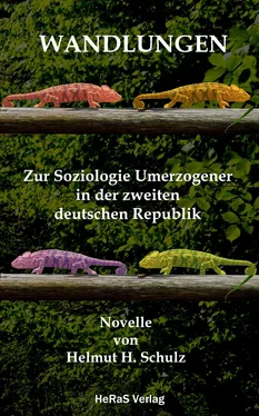 Helmut H. Schulz Wandlungen обложка книги