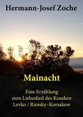 Hermann-Josef Zoche Mainacht обложка книги