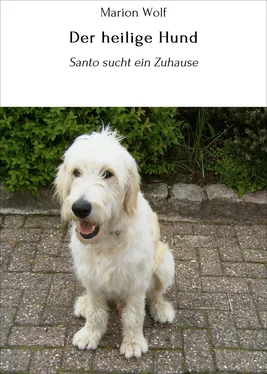 Marion Wolf Der heilige Hund обложка книги