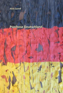 Alois Zeindl Psychose Deutschland обложка книги
