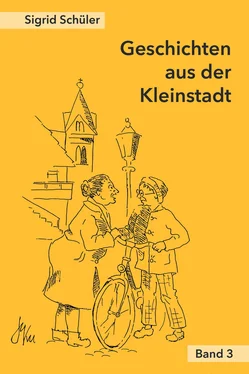 Sigrid Schüler Geschichten aus der Kleinstadt, Band 3 обложка книги