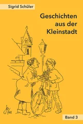 Sigrid Schüler - Geschichten aus der Kleinstadt, Band 3