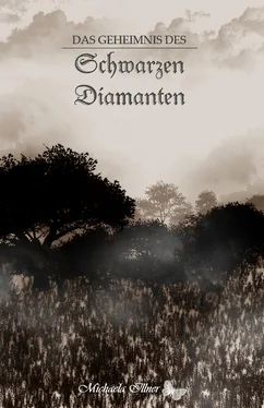 Michaela Illner Das Geheimnis des Schwarzen Diamanten обложка книги