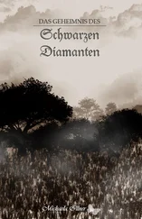 Michaela Illner - Das Geheimnis des Schwarzen Diamanten