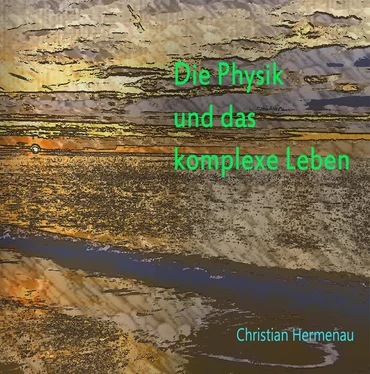 Christian Hermenau Die Physik und das komplexe Leben обложка книги