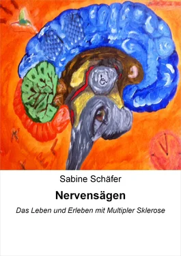 Sabine Schäfer Nervensägen обложка книги