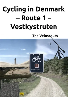 Die Veloscouts Route 1 – Vestkystruten обложка книги