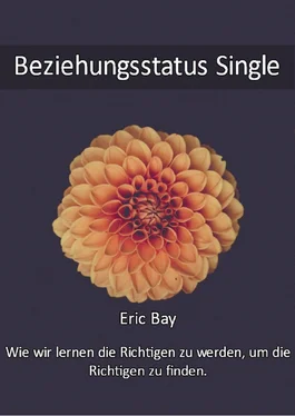 Eric Bay Beziehungsstatus Single обложка книги
